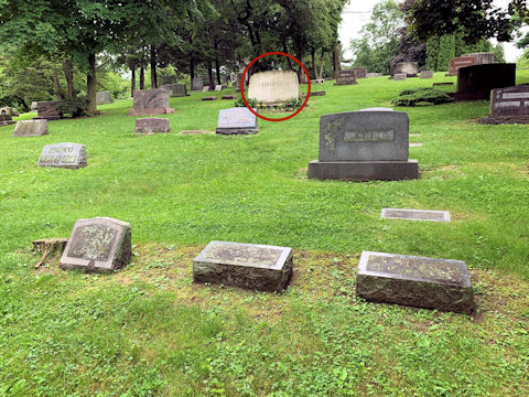 Area Picture