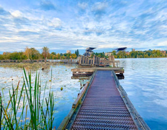 Arboreedom Waterfront Treail