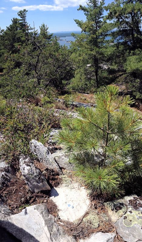 View of island with ashes in forground