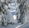 Link to snow hikes